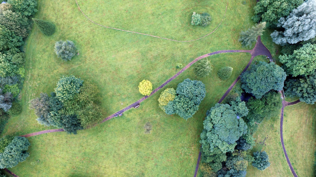 Drones, entre las 8 tendencias tecnológicas destacadas