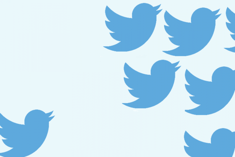 twitter birds